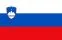 RDP Slovenia